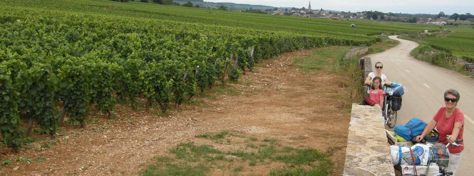 bourgogne-vignes_GF.jpg